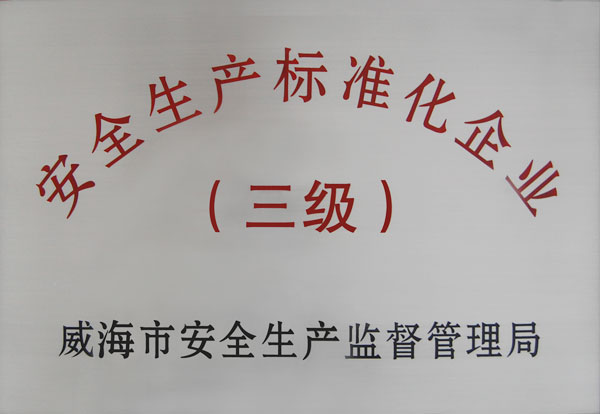 安全生產標準化企業