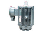 TYPL永磁變頻電機(jī) TYPL永磁變頻電機(jī)