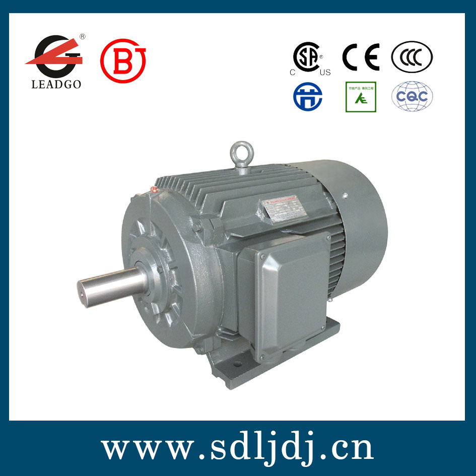 高效永磁同步電機(jī) 高效永磁同步電機(jī)