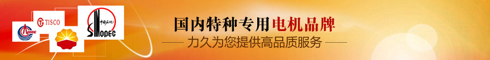 力久——特種專用電機品牌！