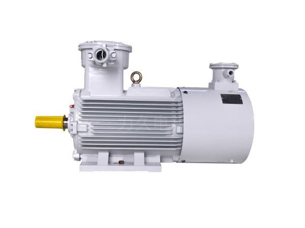 YBBPX3系列高效率隔爆型變頻調速三相異步電動機 YBBPX3系列高效率隔爆型變頻調速三相異步電動機